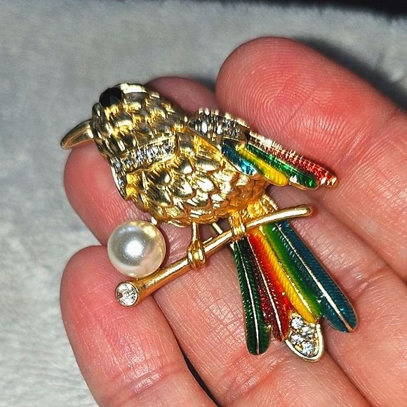 Colorful Bird Brooch Set - Picture 7 of 10